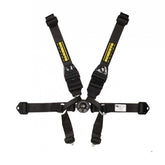 Schroth SFI 16.5 Formula II Harness
